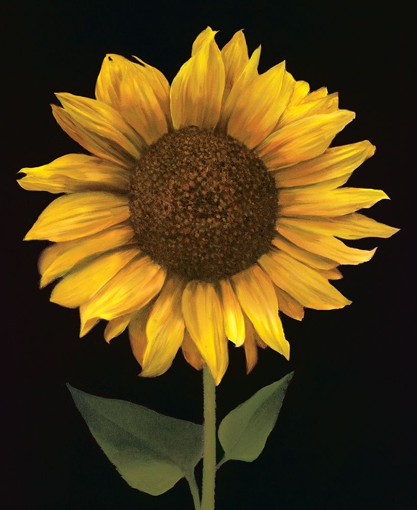 Wall Art Painting id:336917, Name: Sunflower I, Artist: Unknown