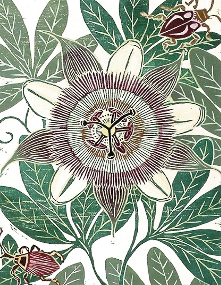 Wall Art Painting id:336787, Name: Poppy II, Artist: Unknown