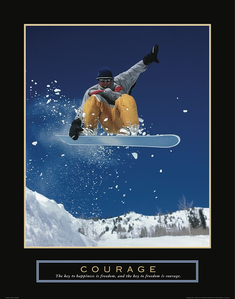 Wall Art Painting id:255484, Name: Courage - Snowboarding, Artist: Frontline