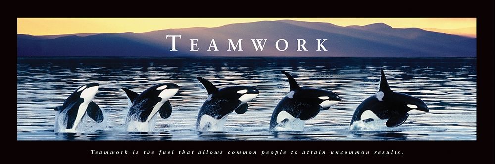 Wall Art Painting id:249020, Name: Teamwork - Whales, Artist: Frontline