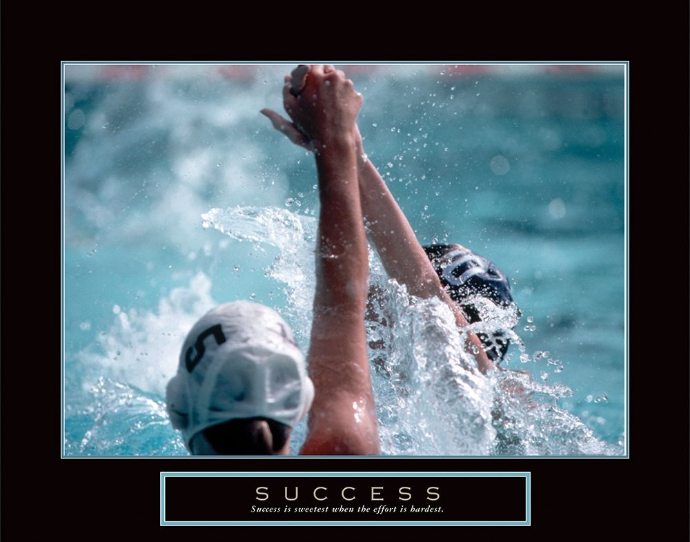 Wall Art Painting id:255474, Name: Success - Swimming, Artist: Frontline