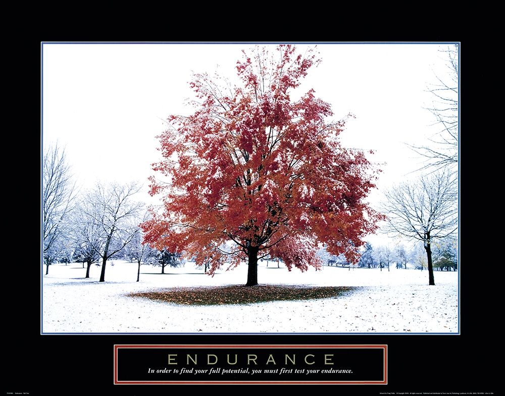 Wall Art Painting id:242434, Name: Endurance - Snowy Tree, Artist: Frontline