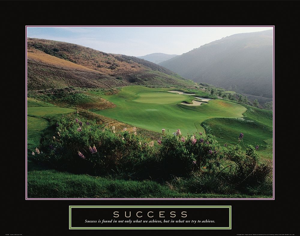 Wall Art Painting id:242437, Name: Success - Golf, Artist: Frontline