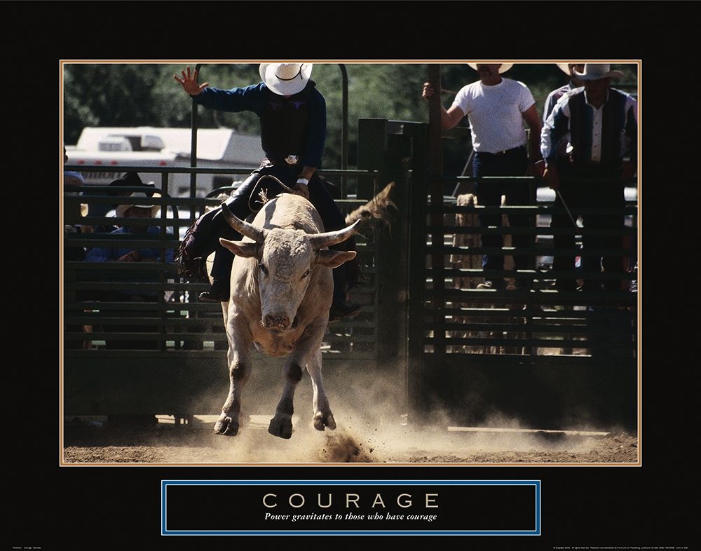 Wall Art Painting id:246280, Name: Courage - Bull Rider, Artist: Frontline