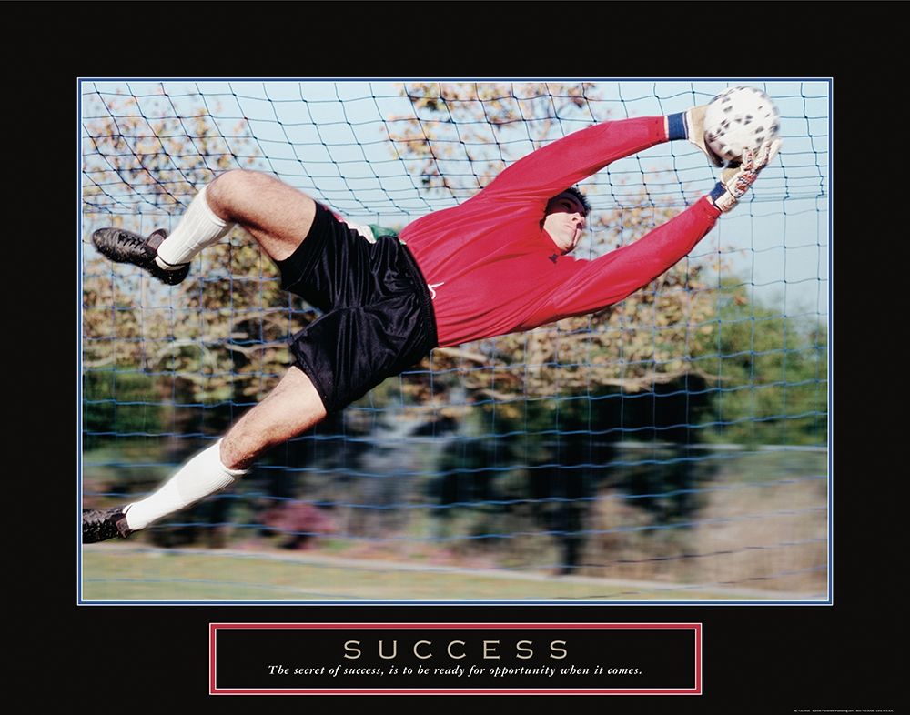 Wall Art Painting id:242451, Name: Success - Soccer Save, Artist: Frontline