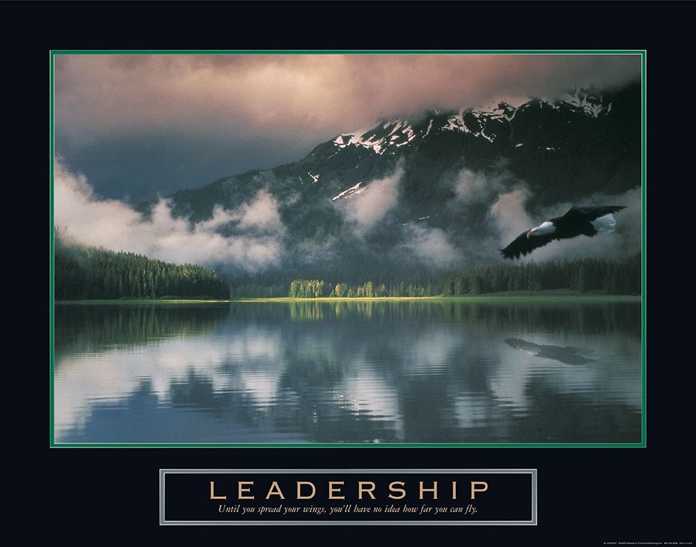 Wall Art Painting id:240006, Name: Leadership - Eagle, Artist: Frontline