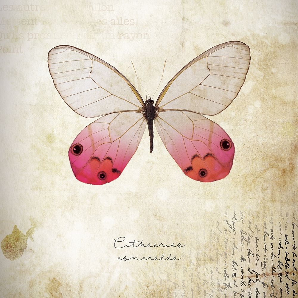 Similar wall art painting: 307071