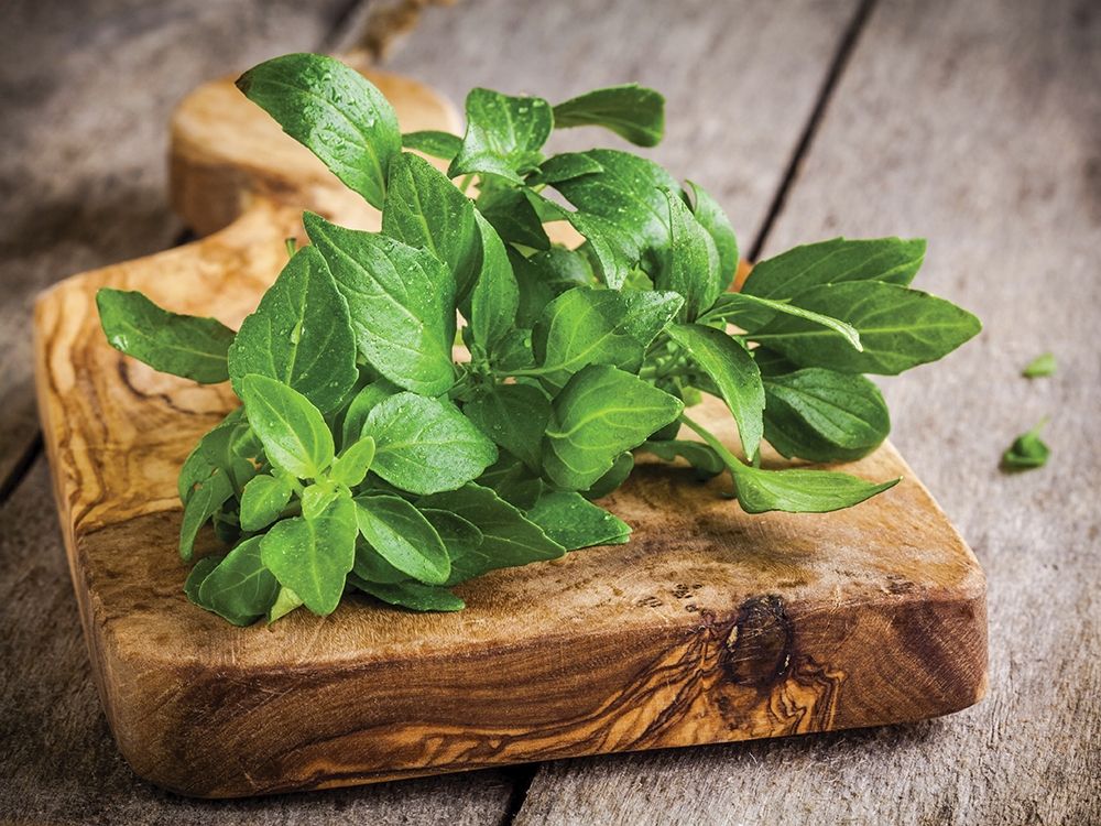 Similar wall art painting: 307082