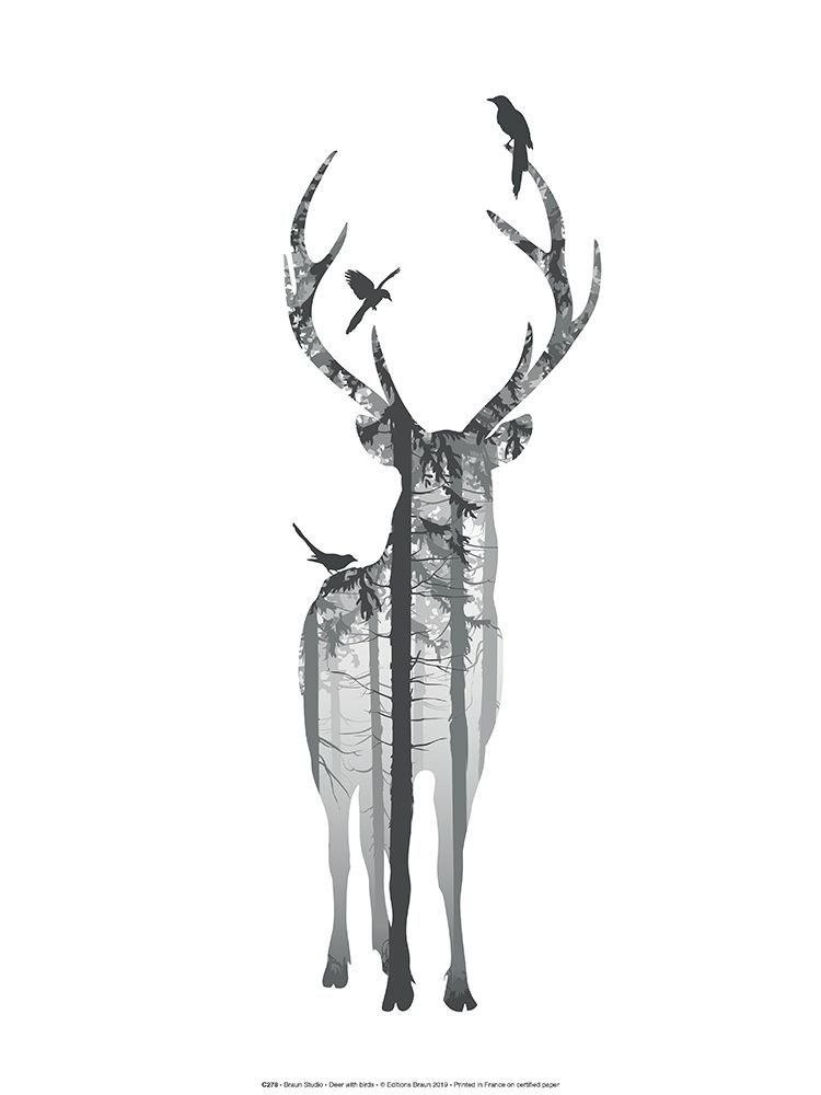 Wall Art Painting id:307106, Name: Deer with birds, Artist: BRAUN Studio