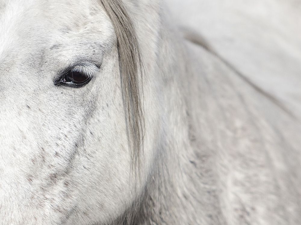 Similar wall art painting: 307122