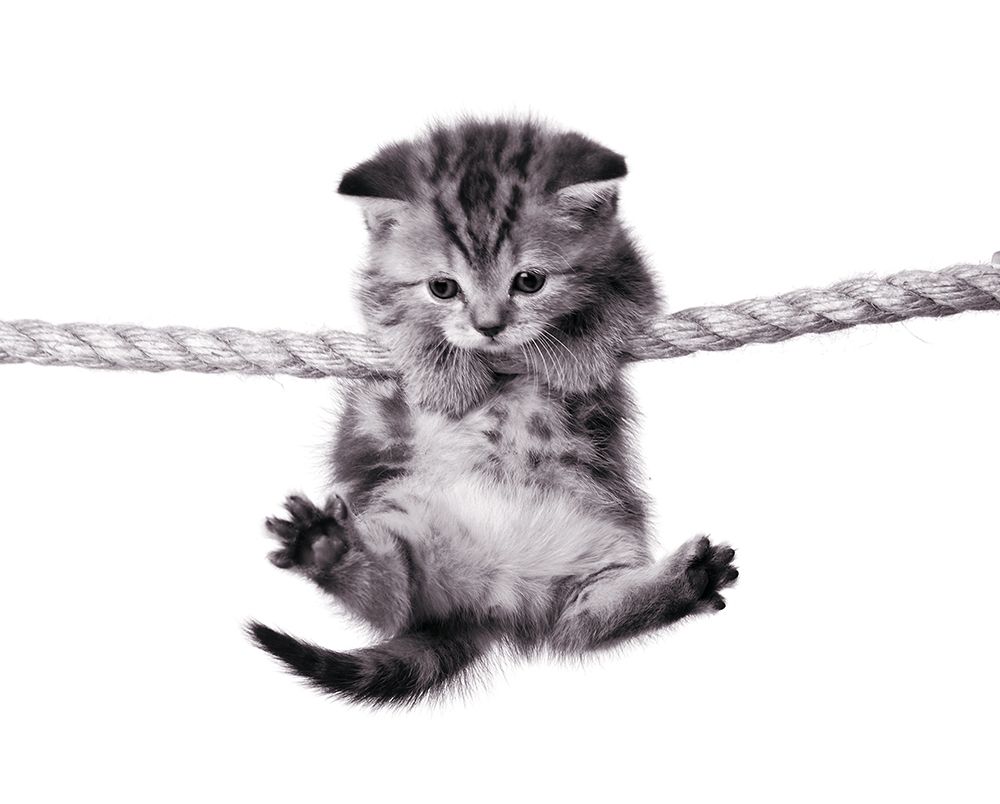 Similar wall art painting: 307138