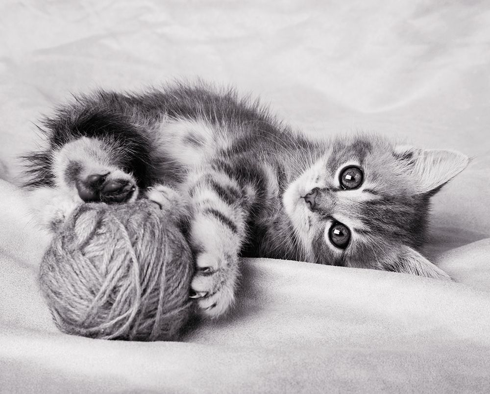 Similar wall art painting: 307140