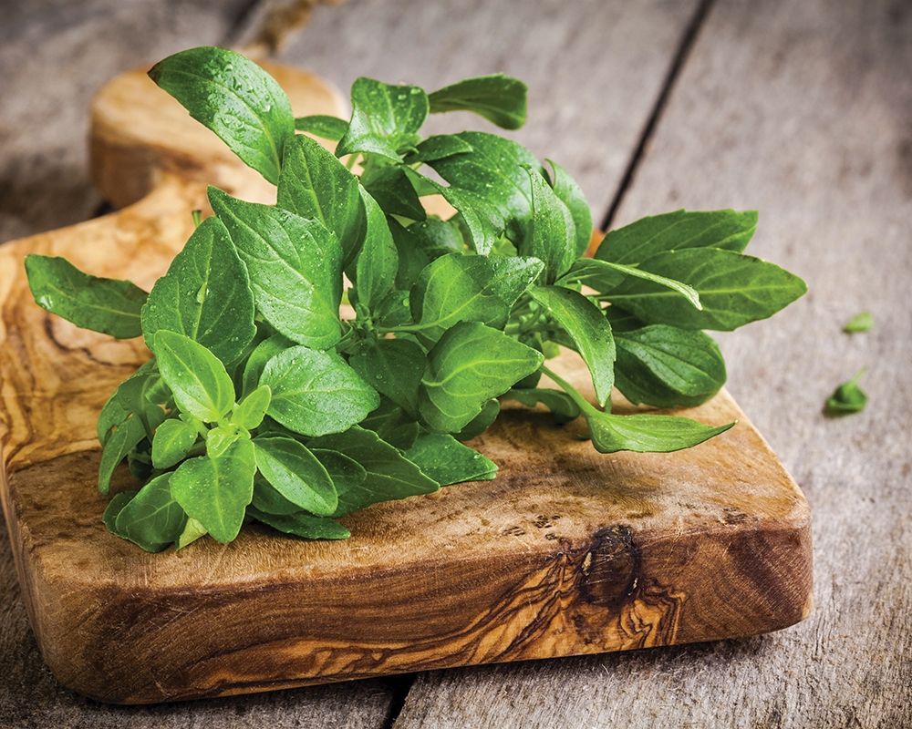 Similar wall art painting: 307146