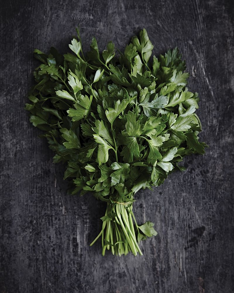 Similar wall art painting: 307150