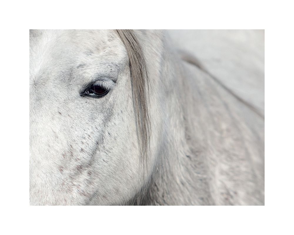 Similar wall art painting: 307159