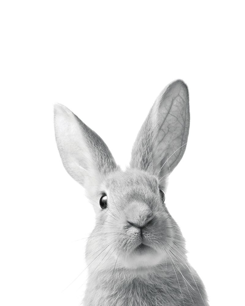 Similar wall art painting: 307168