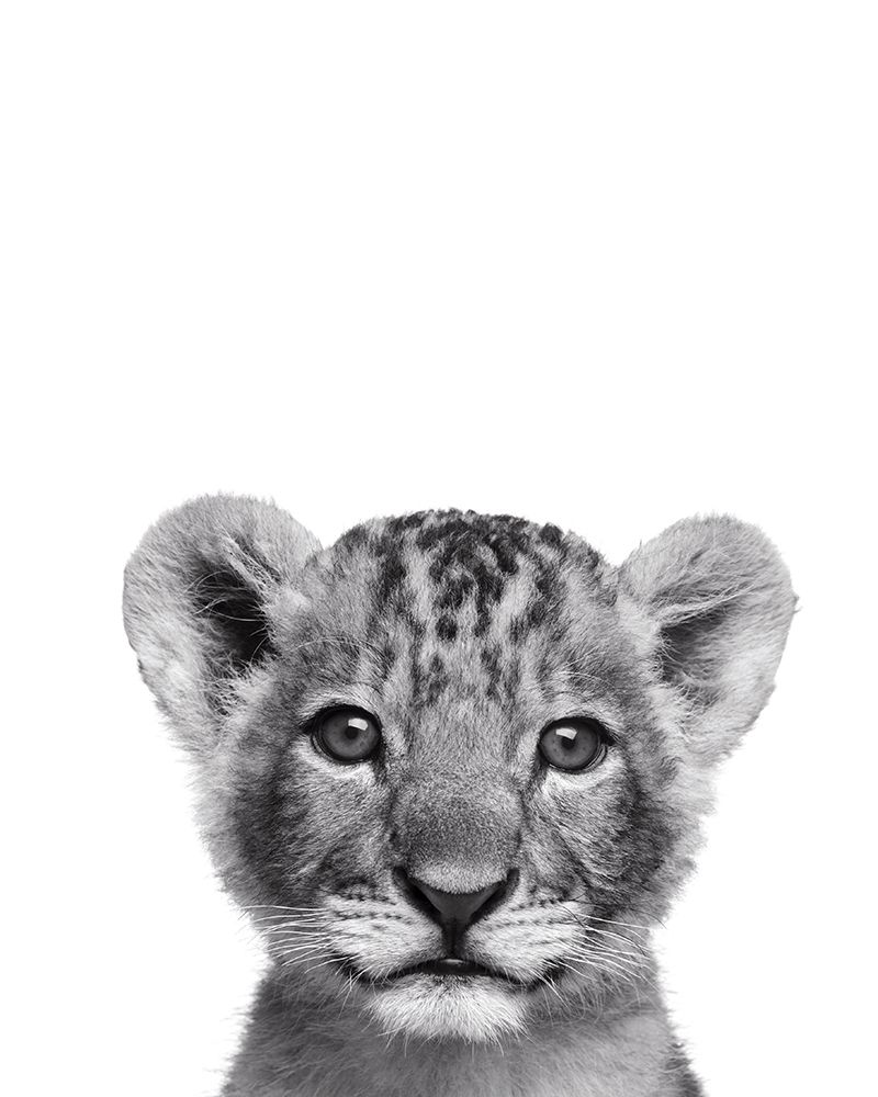 Similar wall art painting: 307169