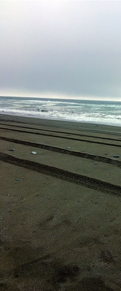 Similar wall art painting: 249591