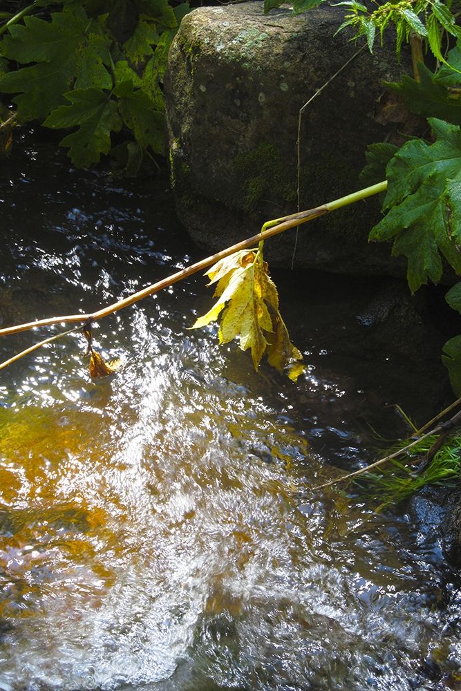 Similar wall art painting: 260601