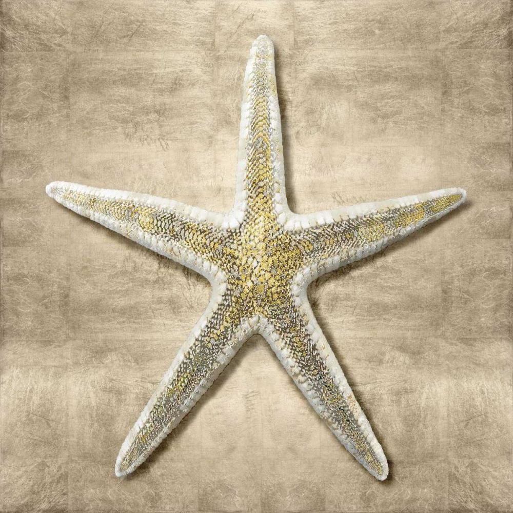 Similar wall art painting: 315202