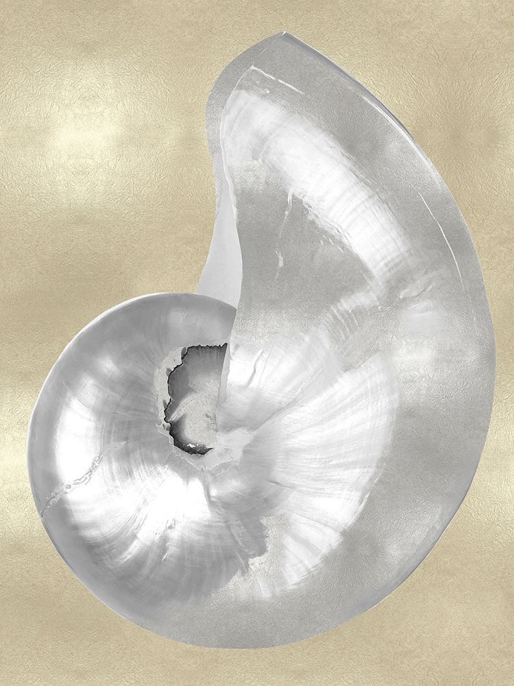 Wall Art Painting id:324918, Name: Silver Pearl Shell on Gold I, Artist: Kelly, Caroline