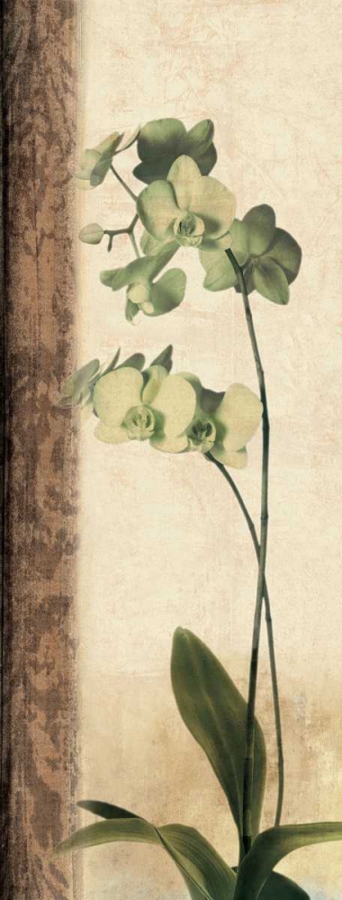 Similar wall art painting: 315682