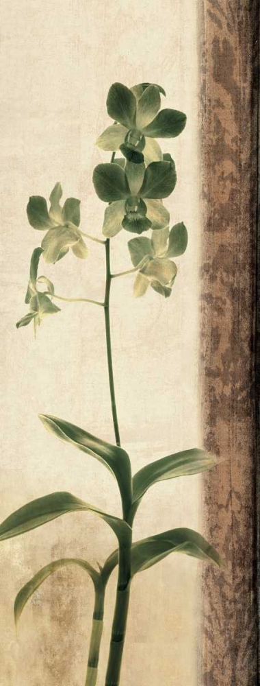 Similar wall art painting: 315683