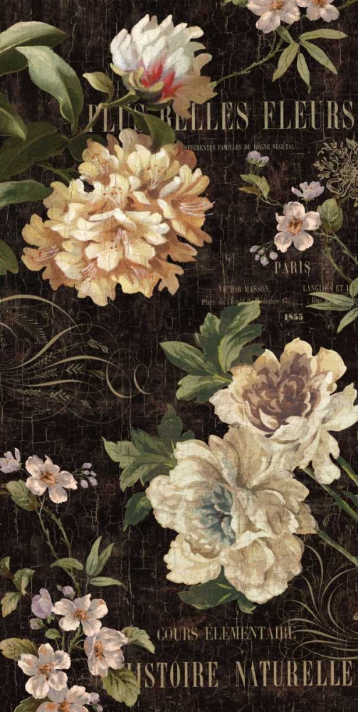 Wall Art Painting id:315868, Name: Fleurs Antique II, Artist: Devellier, Deborah