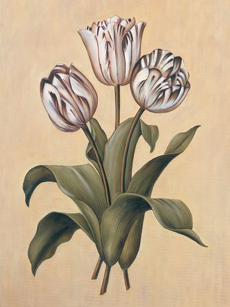 Wall Art Painting id:537694, Name: Tulips II, Artist: Deveraux, Jill