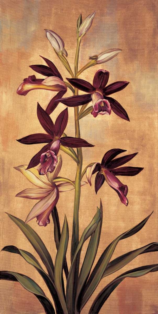 Wall Art Painting id:316303, Name: Burgundy Orchid, Artist: Deveraux, Jill