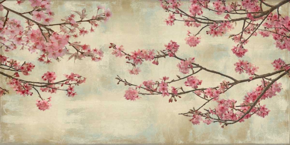 Wall Art Painting id:315042, Name: Cherry Blossoms, Artist: Seba, John
