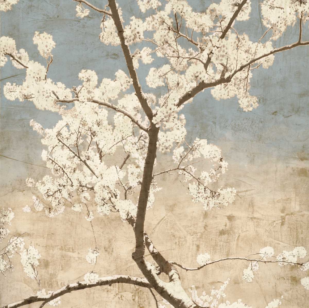 Wall Art Painting id:316380, Name: Cherry Blossoms I, Artist: Seba, John