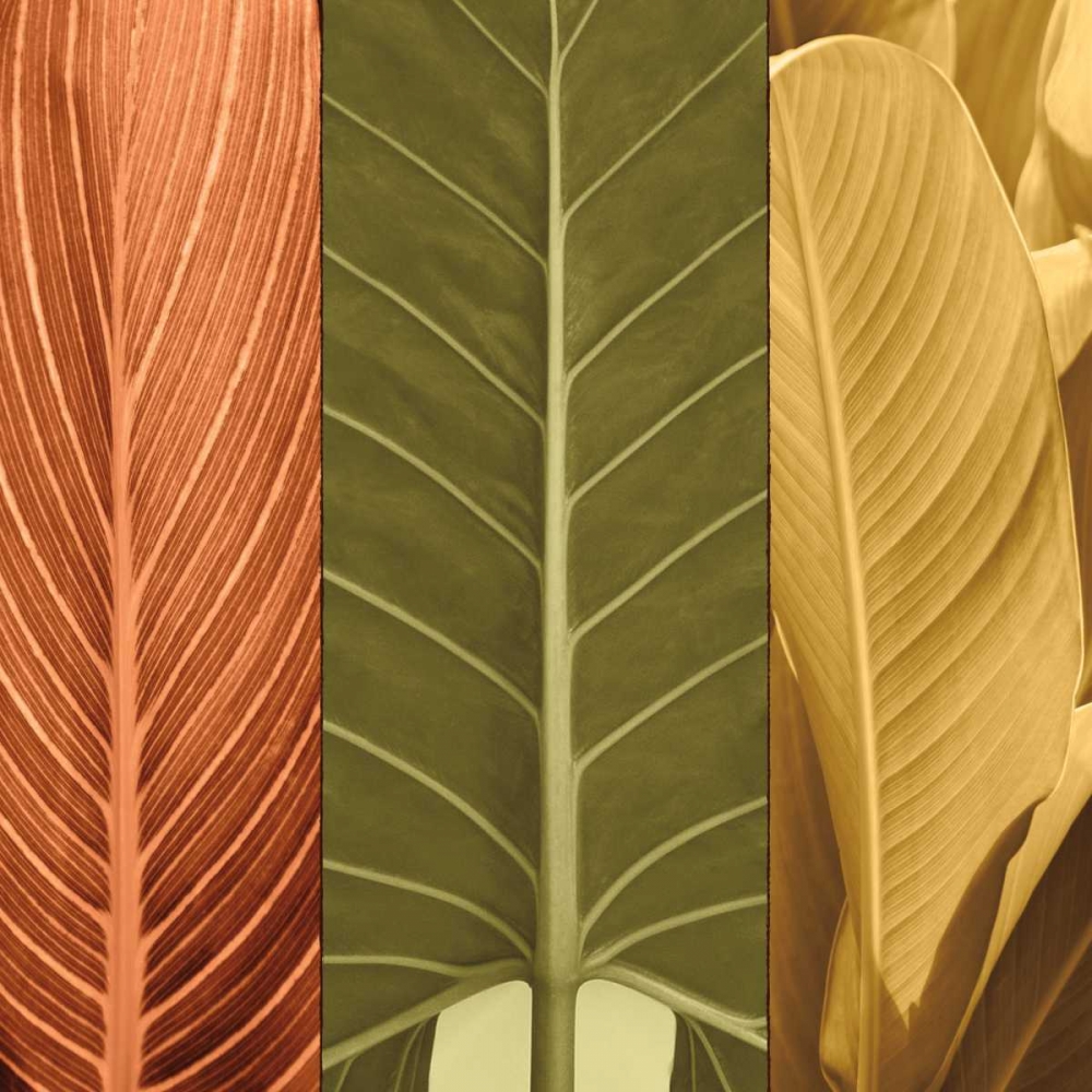 Similar wall art painting: 316403