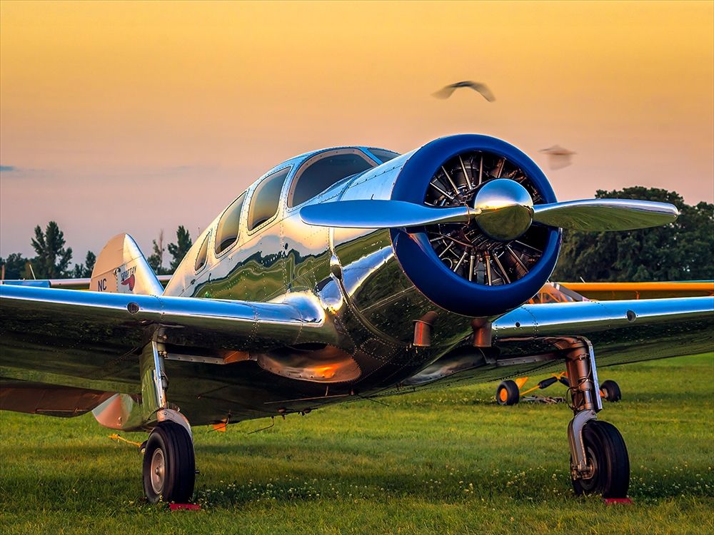 Similar wall art painting: 319691