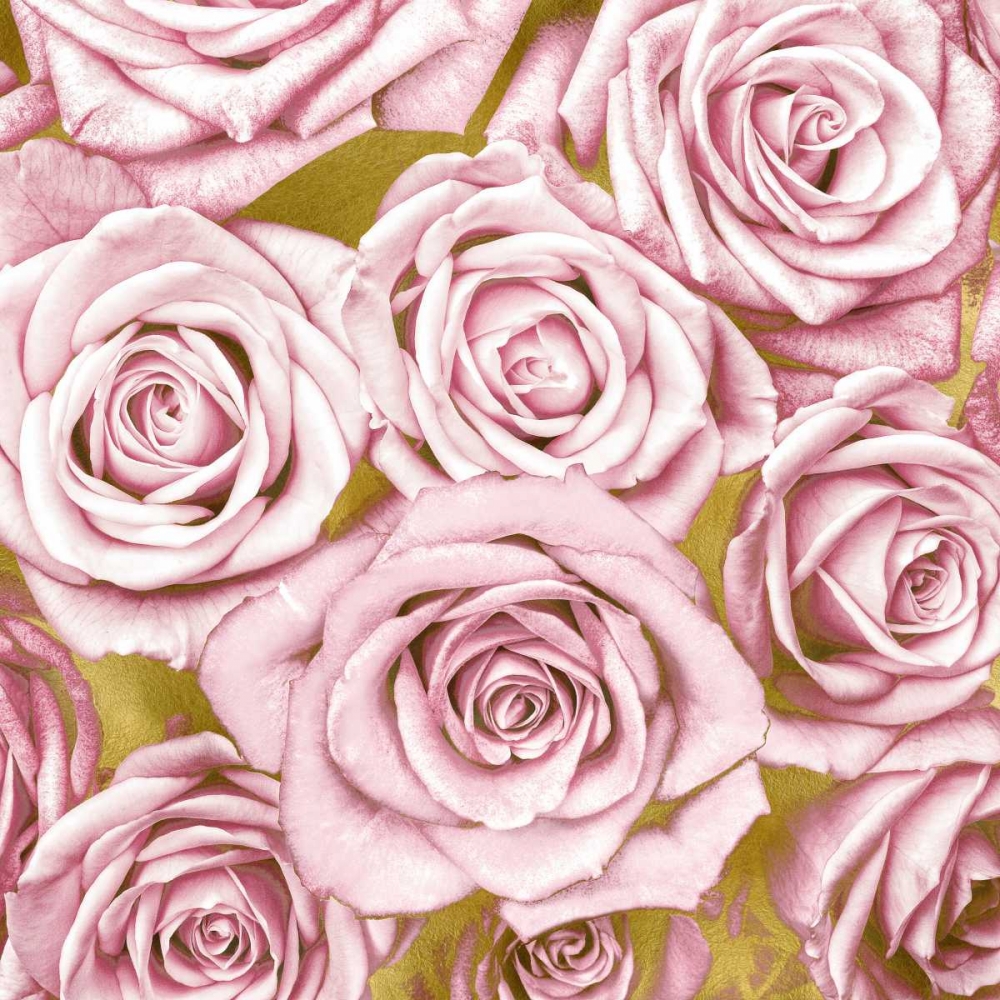 Wall Art Painting id:318328, Name: Pink Roses on Gold, Artist: Bennett, Kate
