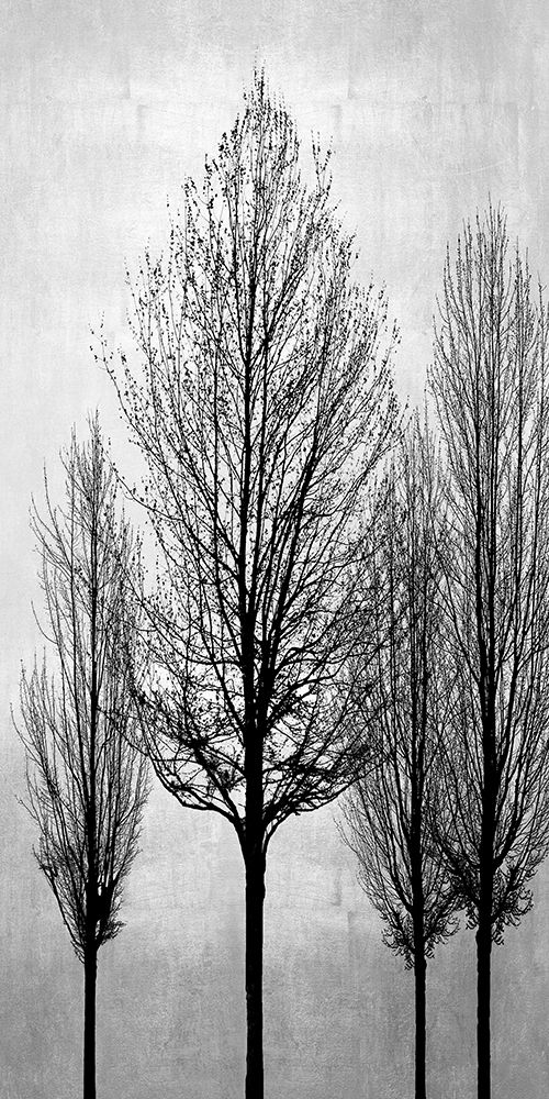 Wall Art Painting id:392225, Name: Trees on Silver Panel II, Artist: Bennett, Kate