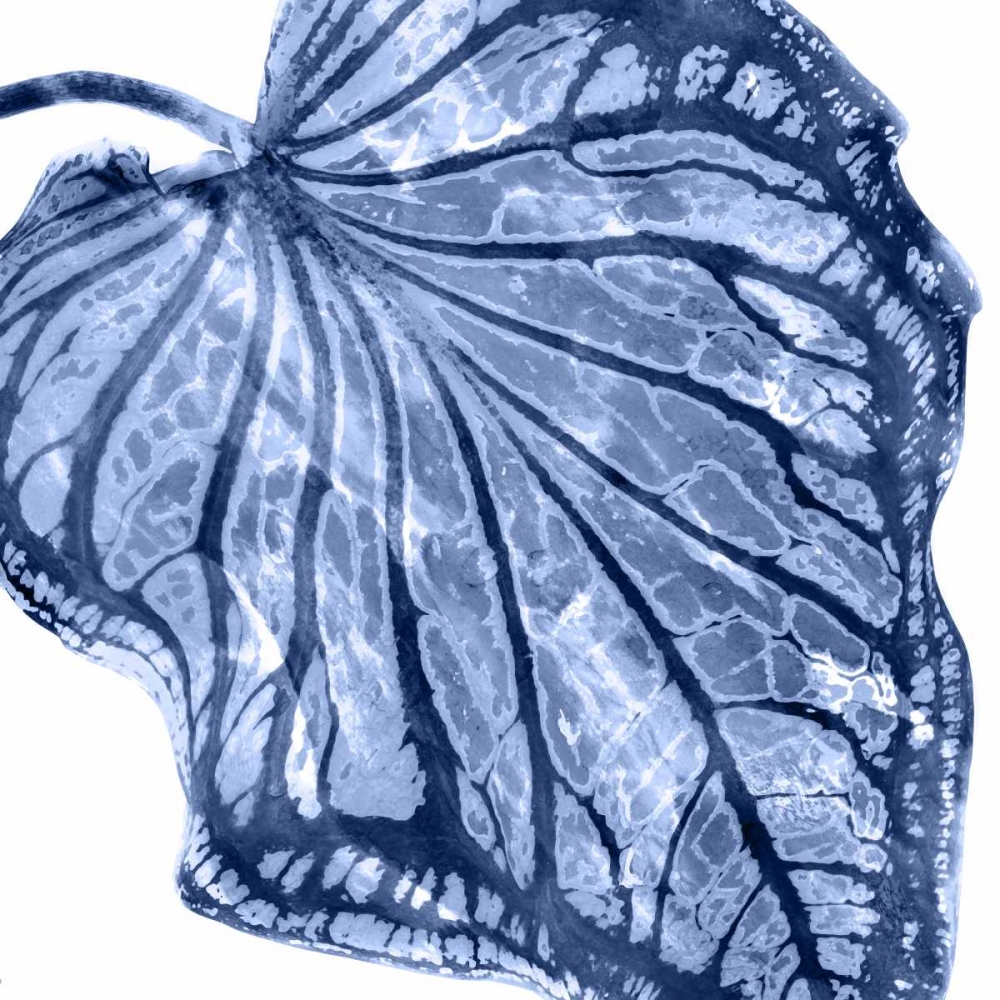 Similar wall art painting: 319094