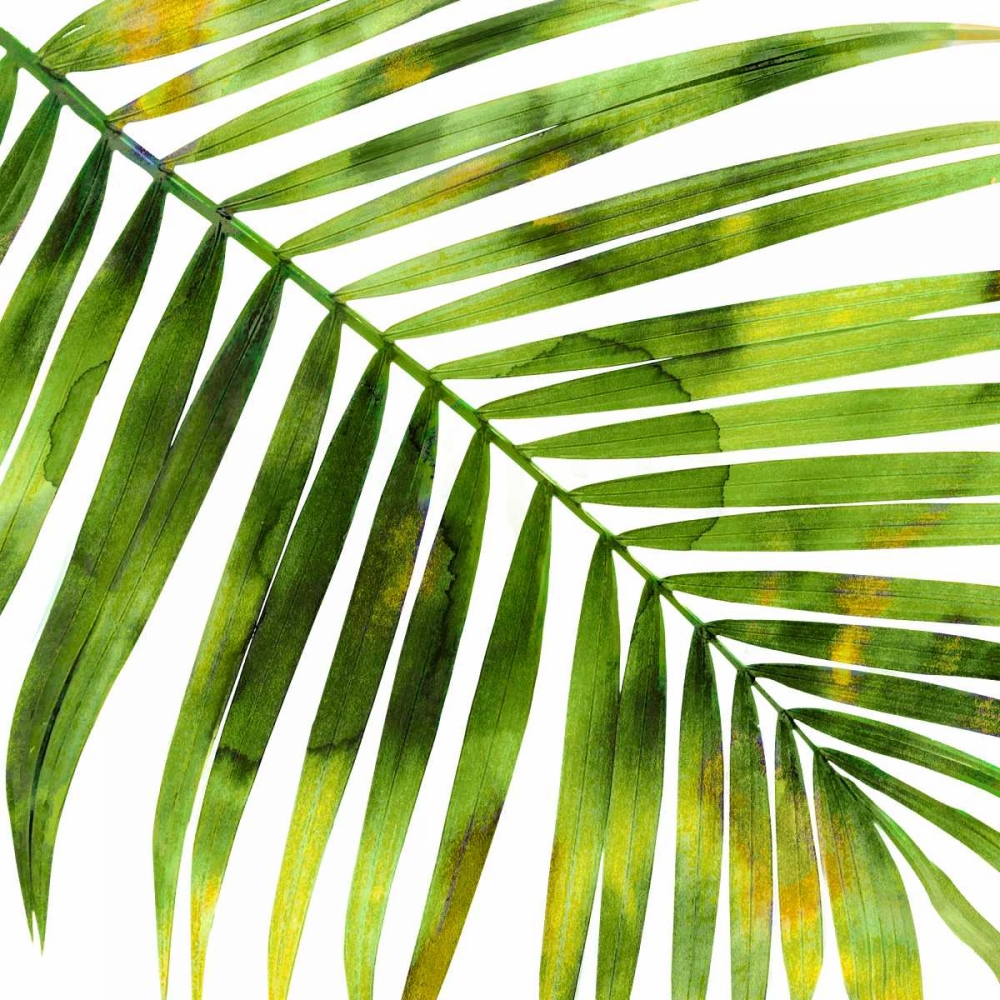 Wall Art Painting id:319096, Name: Tropical Palm I, Artist: Miller, Melonie