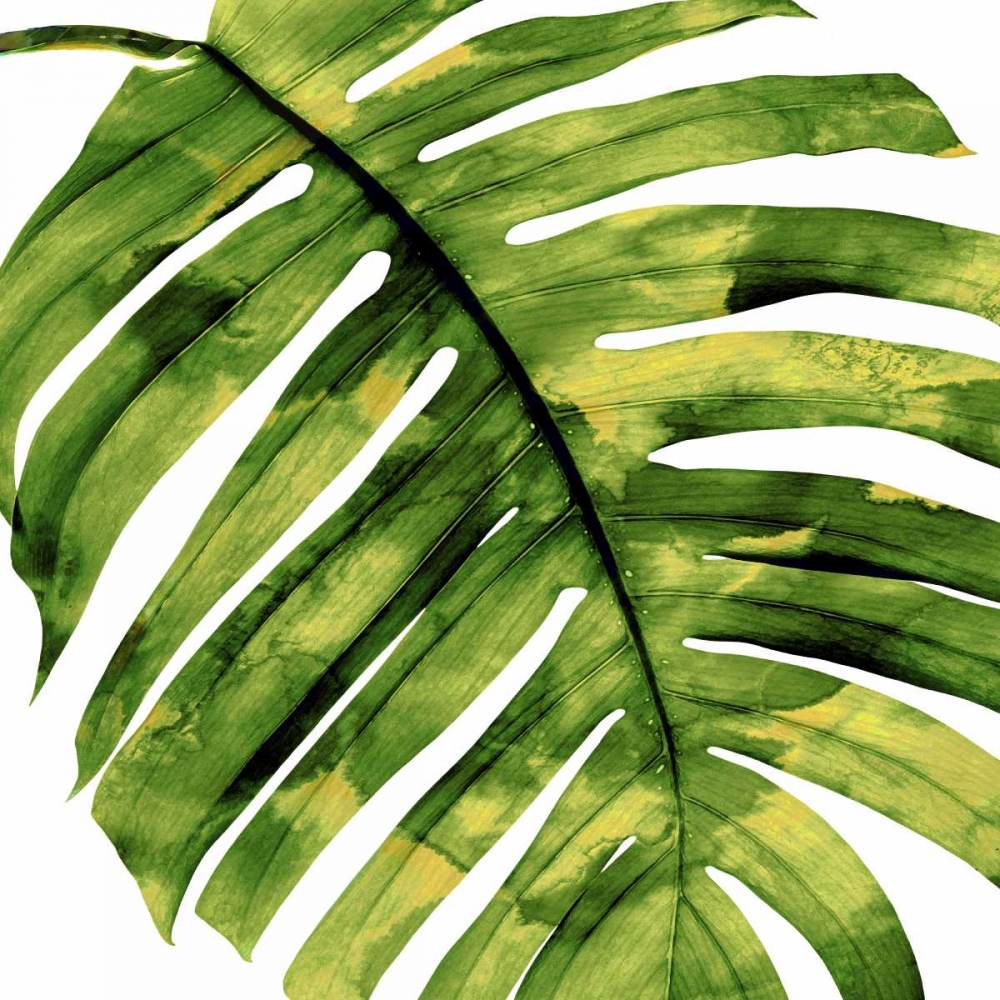 Wall Art Painting id:319097, Name: Tropical Palm II, Artist: Miller, Melonie