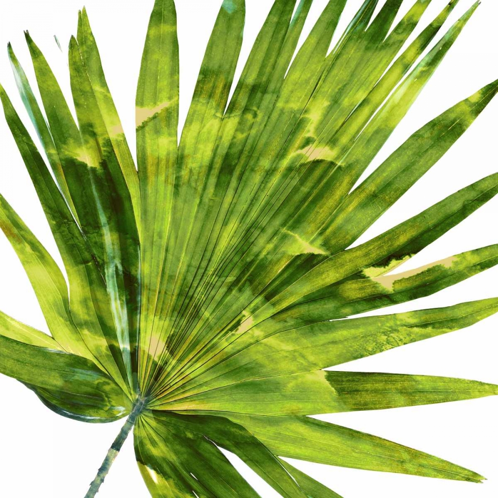 Wall Art Painting id:319099, Name: Tropical Palm IV, Artist: Miller, Melonie
