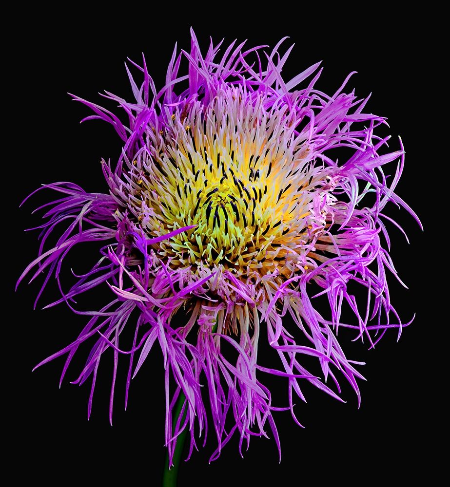 Similar wall art painting: 262912