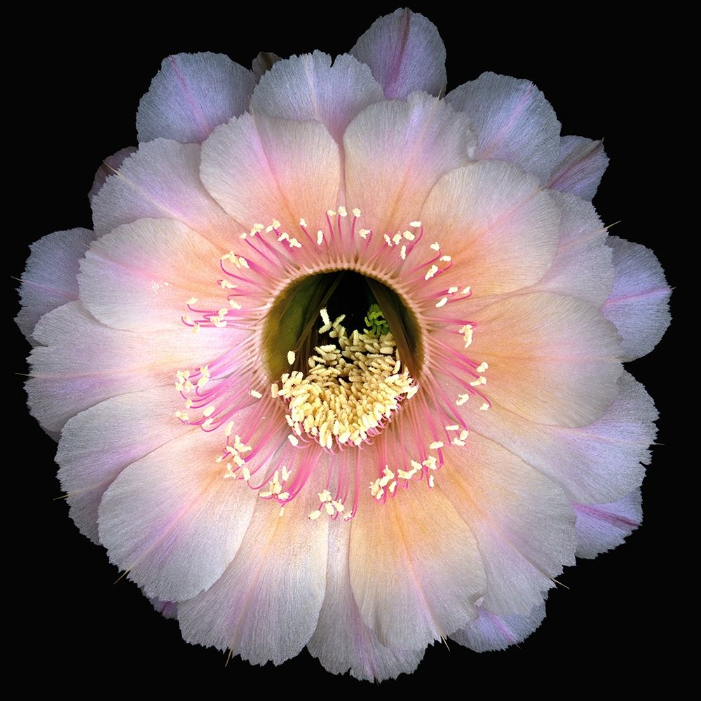 Similar wall art painting: 262930