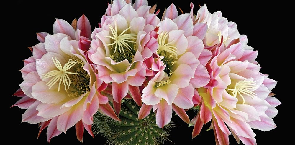 Similar wall art painting: 262903