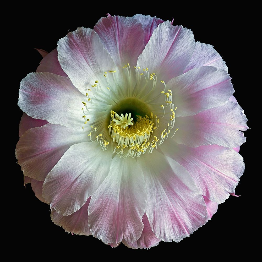 Similar wall art painting: 262917