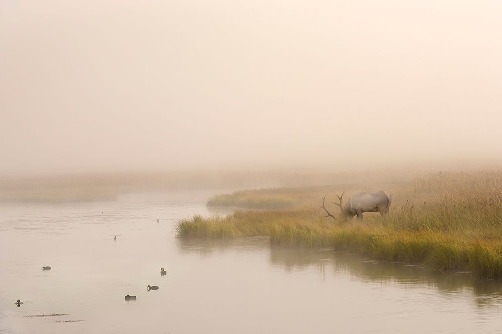 Similar wall art painting: 263717