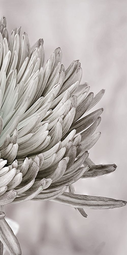 Similar wall art painting: 306155