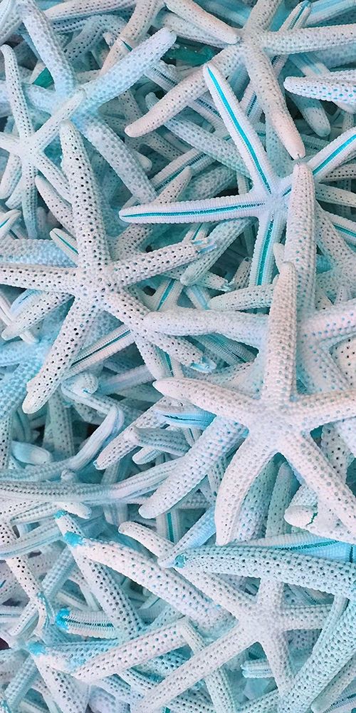 Similar wall art painting: 306144