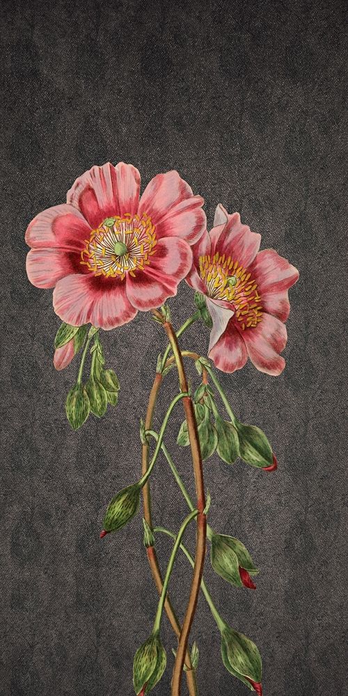 Similar wall art painting: 306147