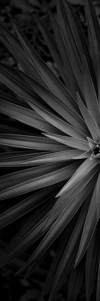 Similar wall art painting: 306174