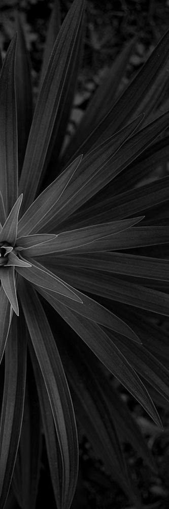 Similar wall art painting: 306175